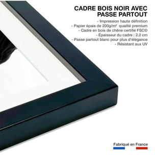 Affiche d'art skater girl - vente d' Affiche + cadre en bois - Noir