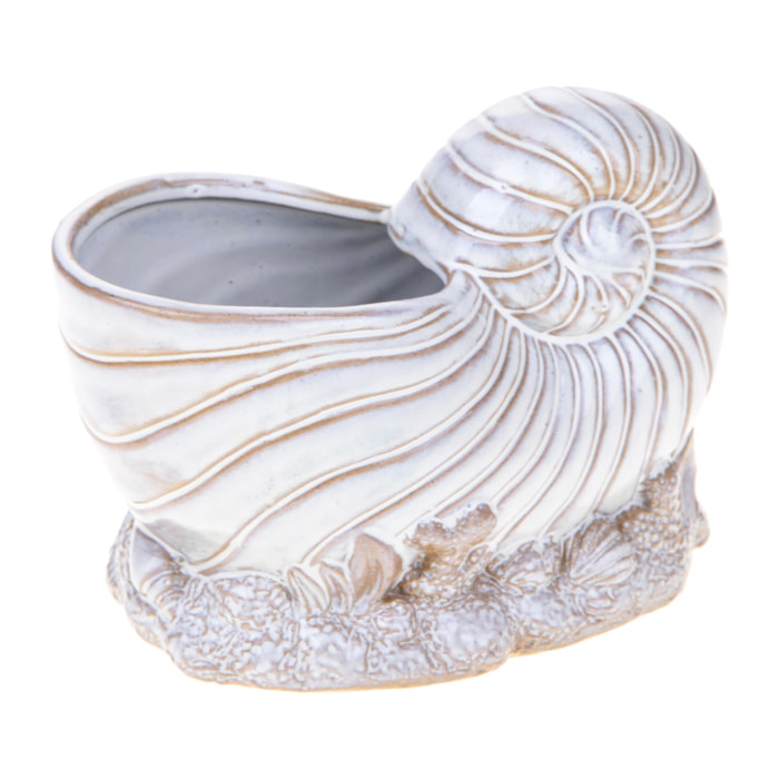 Vaso Conchiglia Con Base D.20Xh.14 Cm - Pezzi 2 - 19X14X13cm - Colore: Bianco - Bianchi Dino - Decori Casa E Complementi
