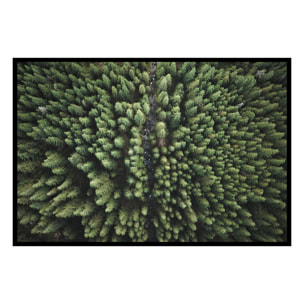 Affiche encadrée forêt vue du ciel Affiche + cadre en métal - Noir