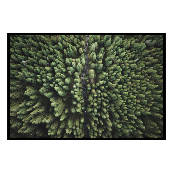 Affiche encadrée forêt vue du ciel Affiche + cadre en métal - Noir