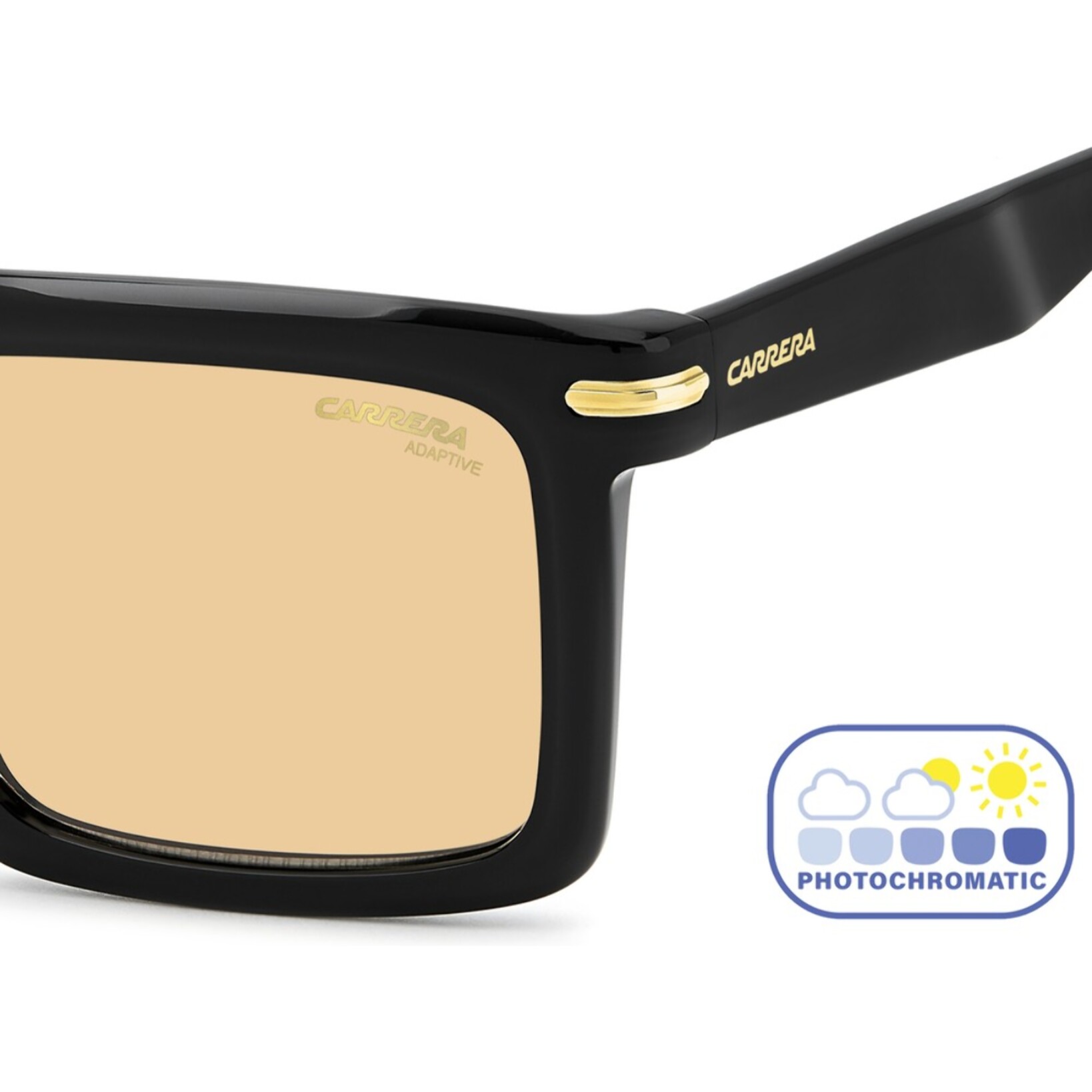 Gafas de Sol Carrera 364/S 2M2 de Acetato Hombre 54 mm