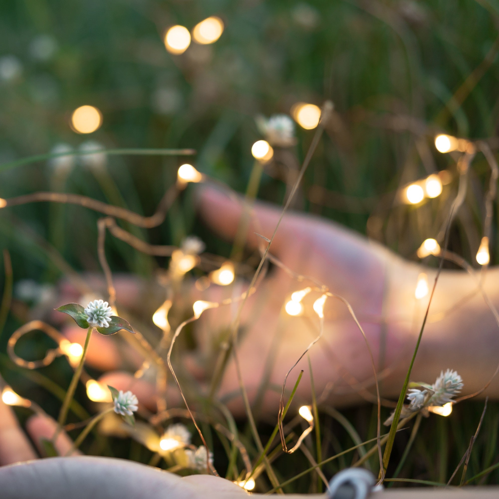 2 Guirlande solaire SKINNY 100 LED 11.5M