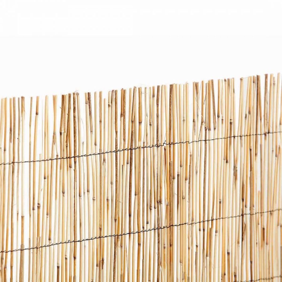 Cañizo Bambu Pelado Reedcane