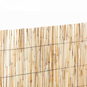 Cañizo Bambu Pelado Reedcane
