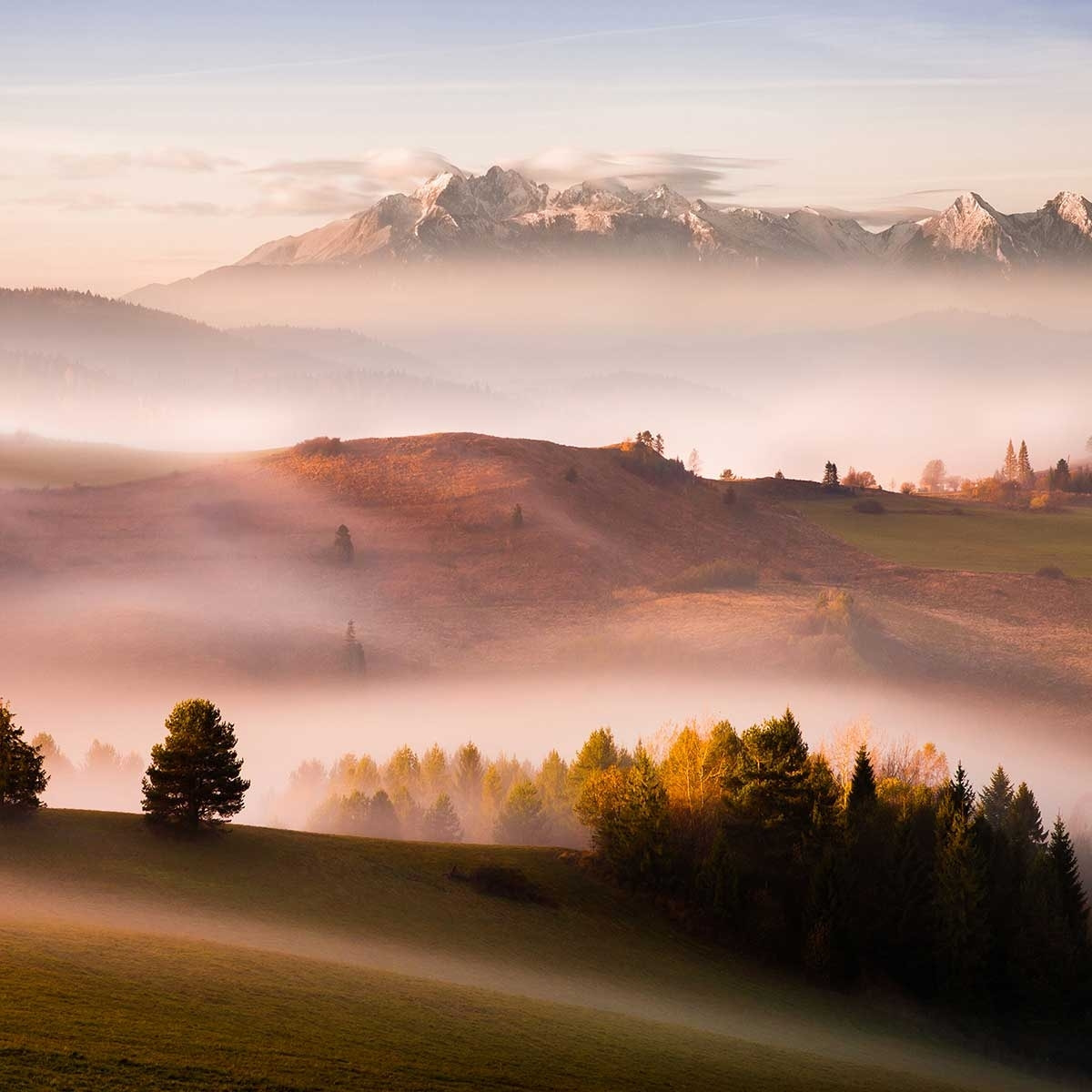 Tableau Automne serein et silence Tableau alu Dibond