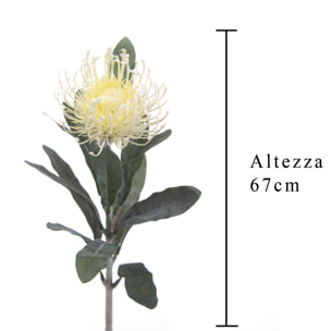 Fiore Di Protea Composto Da 14 Foglie. Altezza 67 Cm - Pezzi 12 - 8X67X8cm - Colore: Altro - Bianchi Dino - Fiori Artificiali