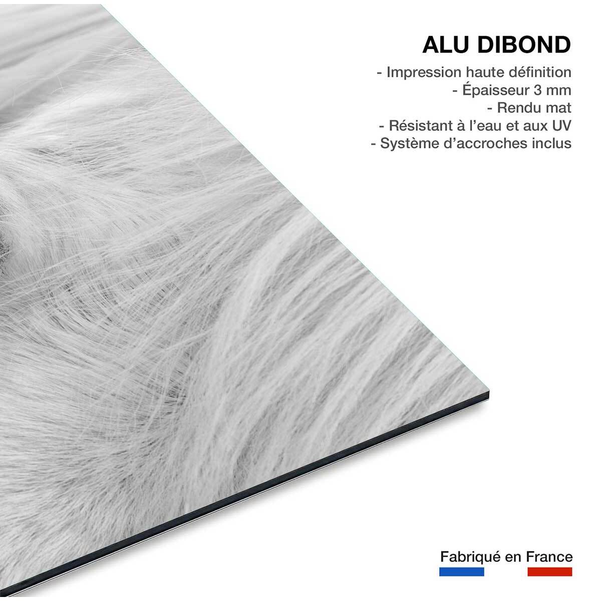 Tableau cheval blanc d' Islande Tableau alu Dibond