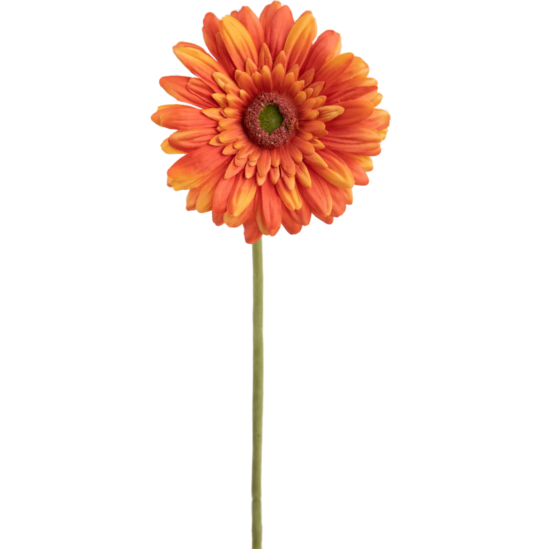 Fiore Di Gerbera Singolo. Altezza 62 Cm - Pezzi 12 - 12X62X12cm - Colore: Arancio - Bianchi Dino - Fiori Artificiali