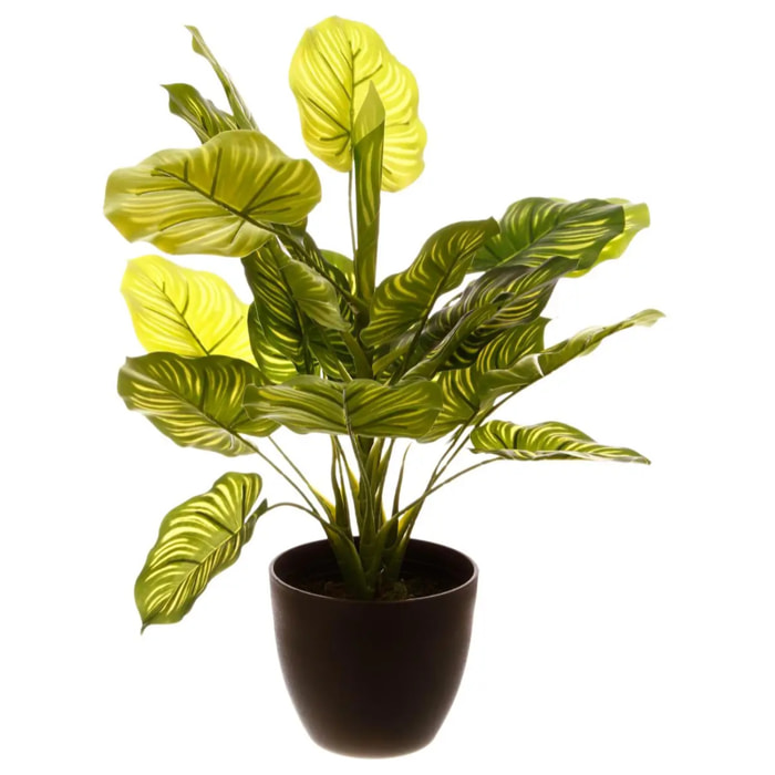 Plante artificielle - pot en ciment - H45 cm