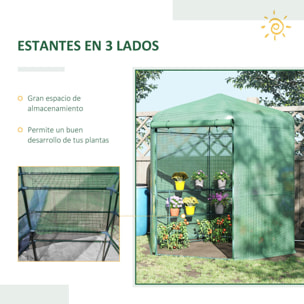 Invernadero de Jardín Hexágono 194x194x215 cm con 6 Estantes Acero Galvanizado