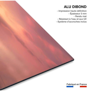 Tableau bateau coulé Tableau alu Dibond