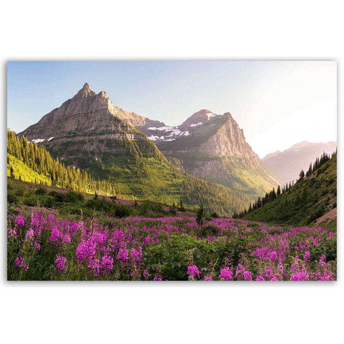 Tableau paysage de montagne fleuri et sommets majestueux Toile imprimée