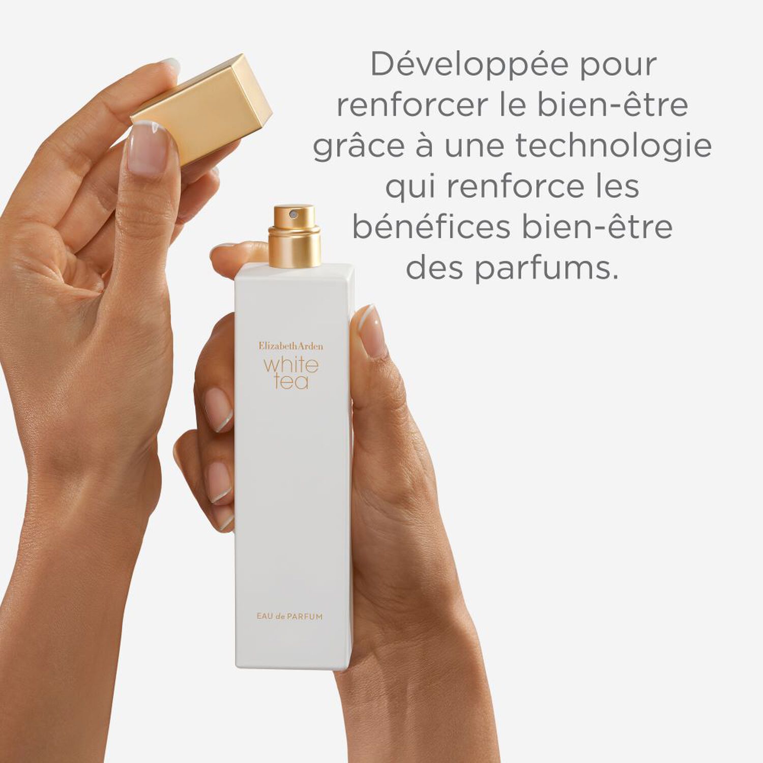 White Tea  - Eau de Parfum