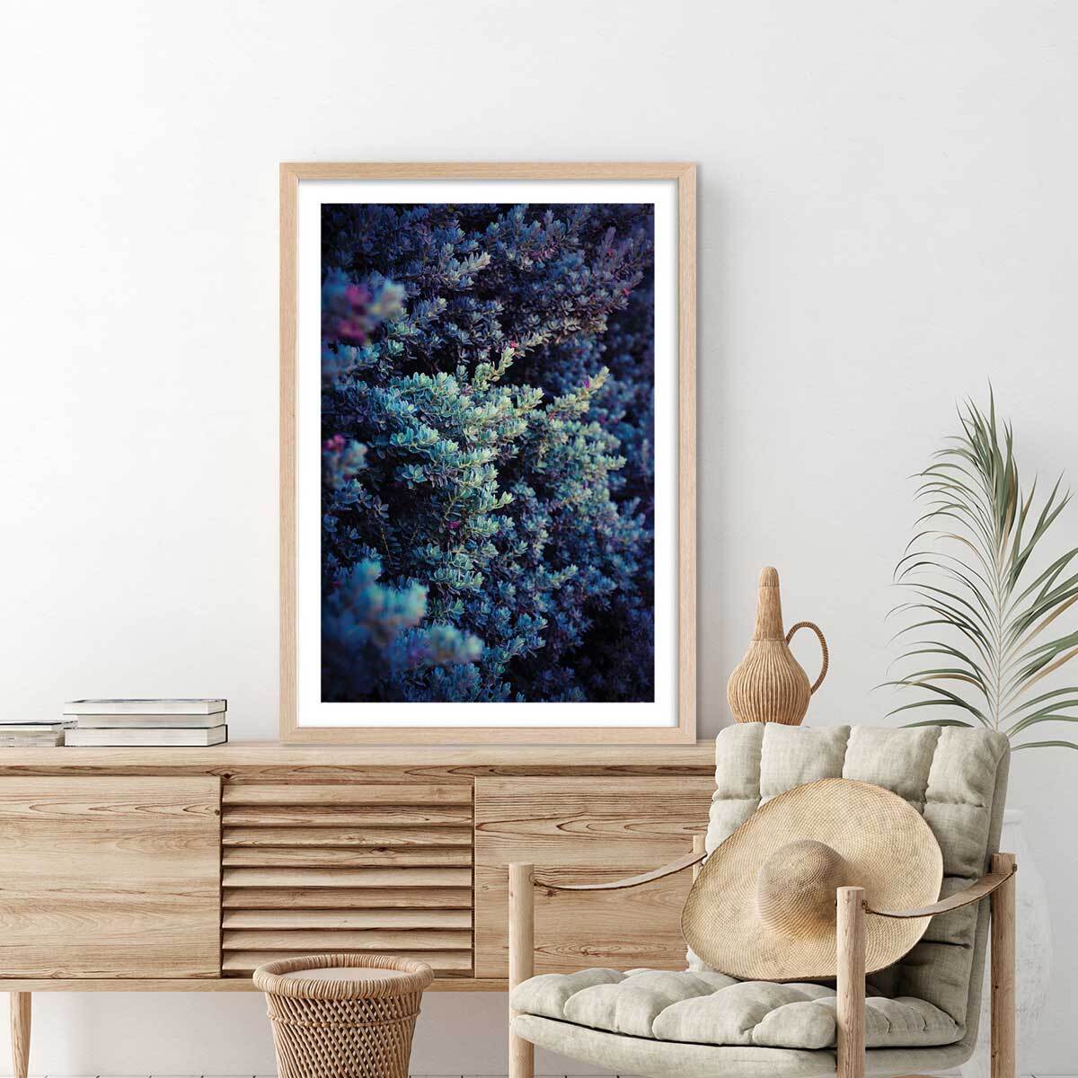 Affiche photo Tableau macro plante grasse collector Affiche + cadre en bois - Chêne