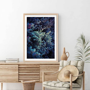 Affiche photo Tableau macro plante grasse collector Affiche + cadre en bois - Chêne