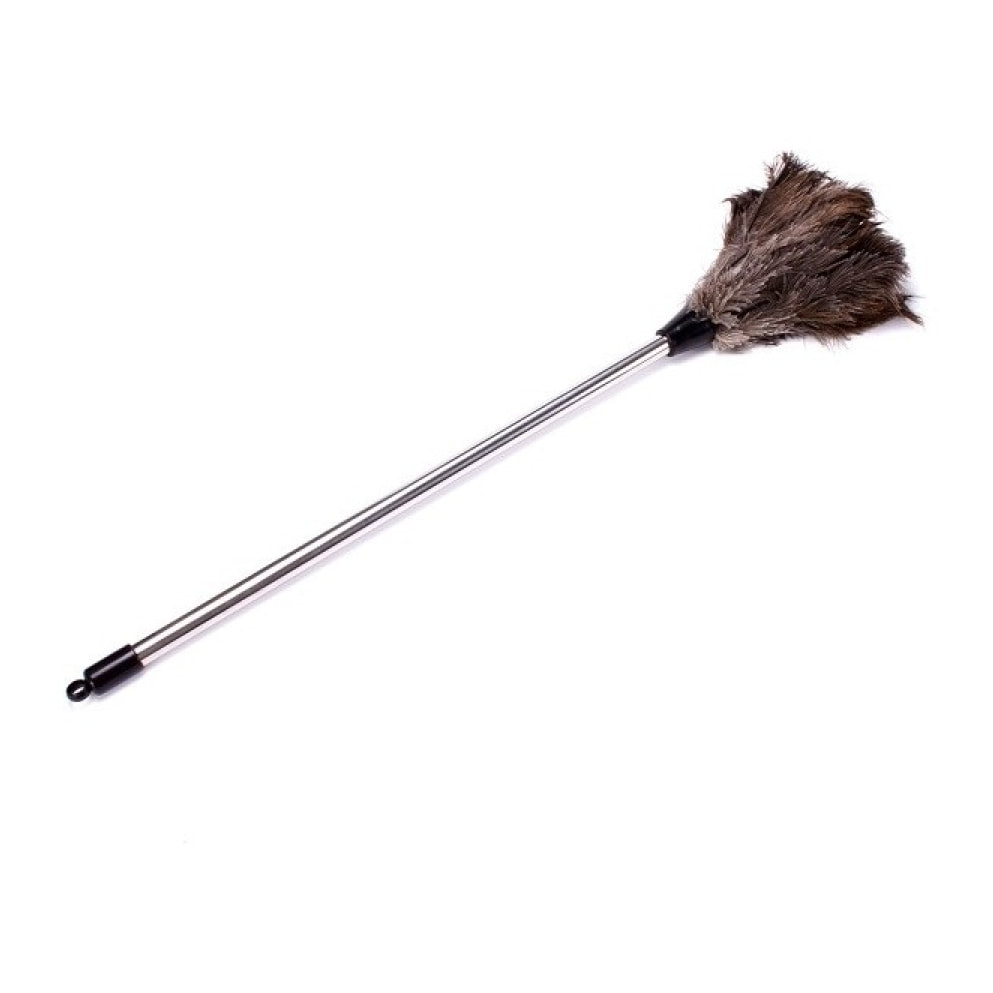 Plumeau en plumes d'autruche Manche Inox - Grand MSV