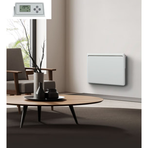 Radiateur Inertie Ceramique 1000w