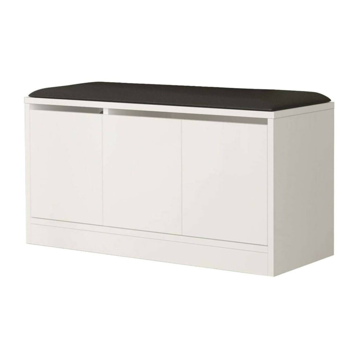 Scarpiera Corniola, Mobile portascarpe, Armadio da ingresso multiuso, Mobiletto per calzature, 90x36h46 cm, Bianco