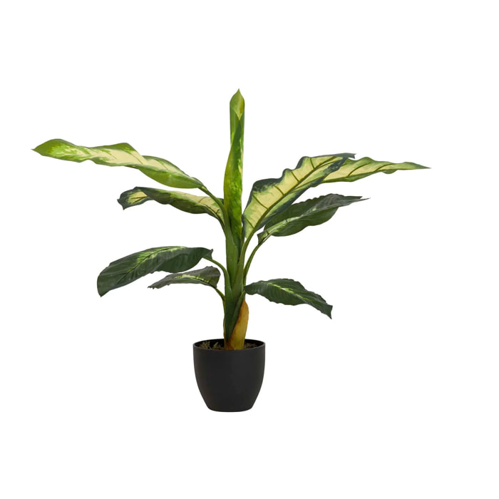 Planta Artificial Dieffenbachia Dotied Con Maceta 60x60x90 Cm