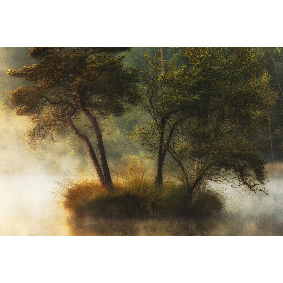 Tableau Ilôt d'automne Tableau alu Dibond