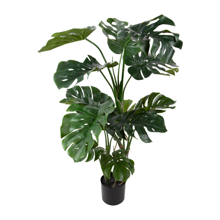 Monstera real touch - Pezzi 1 - Colore: Verde - Bianchi Dino