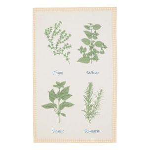 Lot de 3 torchons Garrigue 70x45cm en coton