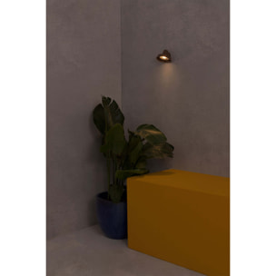 BRONX Lampe applique marron
