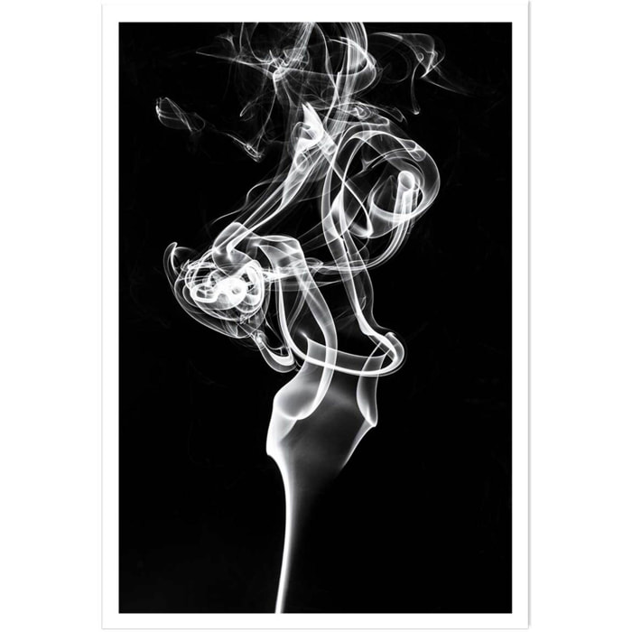 Poster white smoke tulip dream Affiche seule