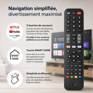 Télécommande ESSENTIELB pour TV LG
