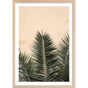 Poster sandy palme Affiche + cadre en bois - Chêne