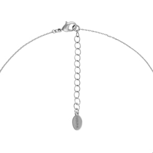 Collana U.S. Polo Assn. In metallo argentato con pendente a lucchetto con cristalli bianchi