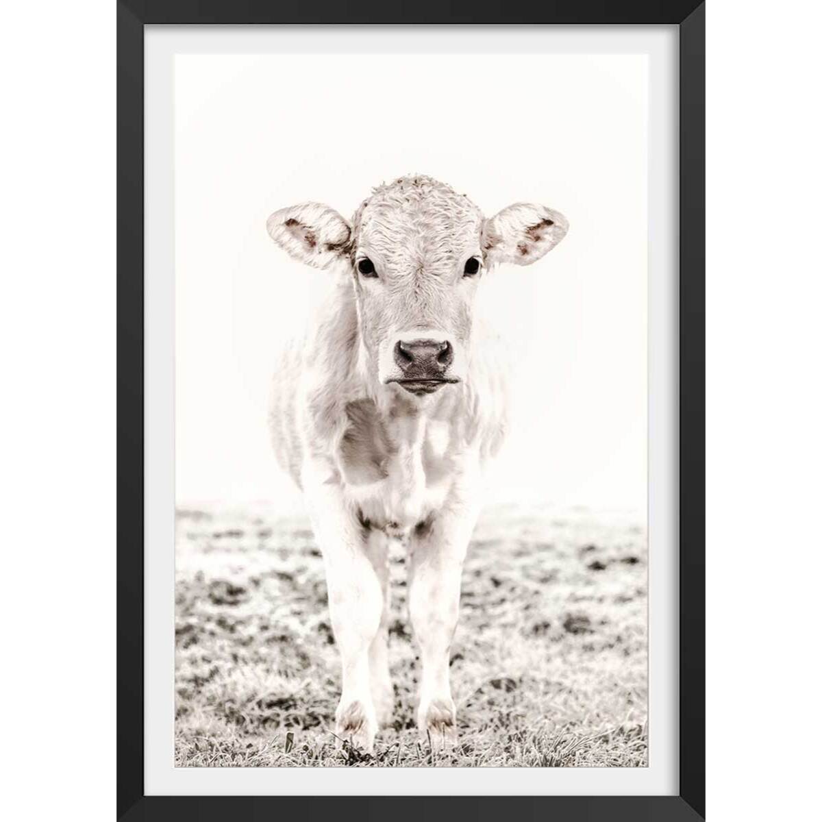 Affiche enfant veau  Affiche + cadre en bois - Noir