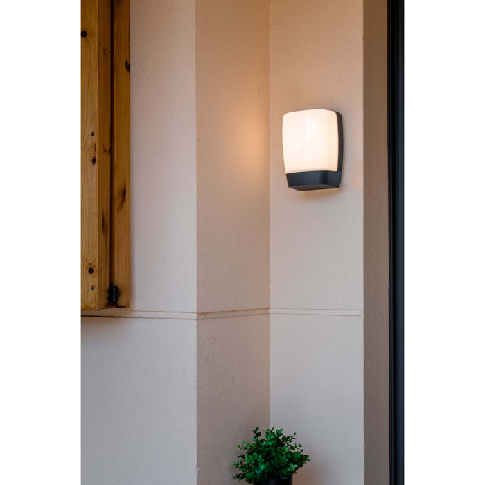 POL LED Applique gris foncé