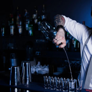 Bec verseur doseur à alcool à bille 4 cl Fackelmann