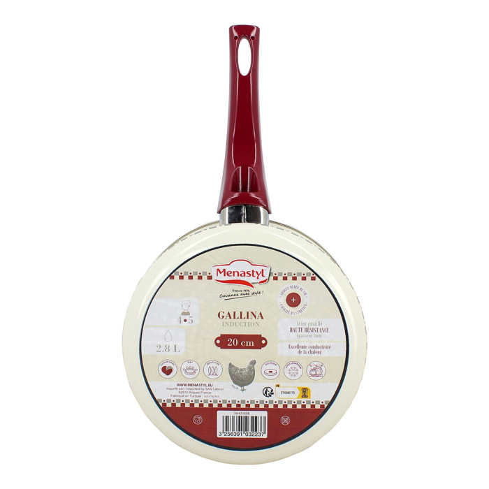 Casserole en acier émaillé 20cm - tous feux GALLINA