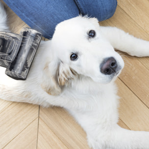 Aspirador ciclonico sin bolsa STC58 H.Koenig, cepillo para suelos duros y cepillo para alfombras y mascotas, filtro HEPA 12, 850W