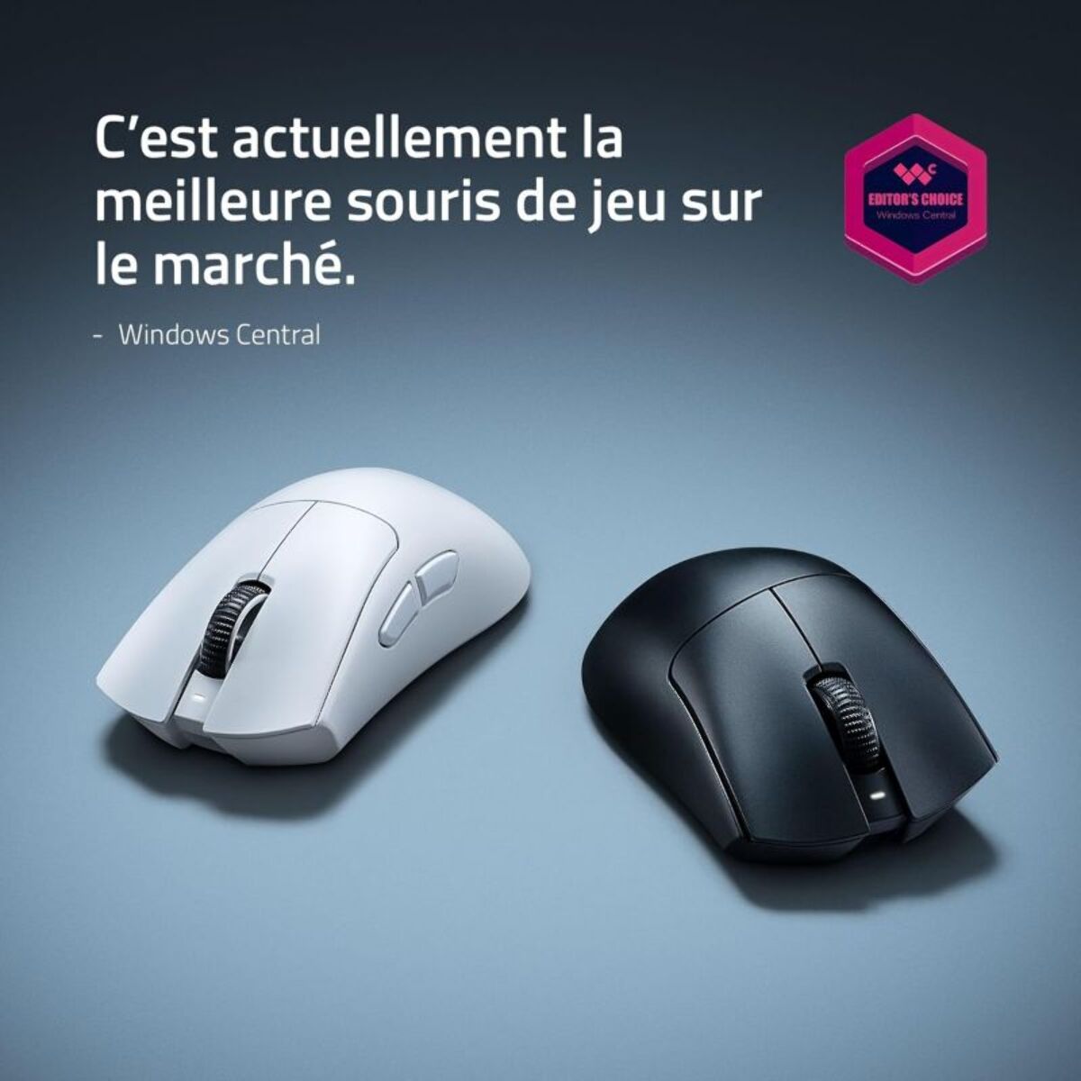 Souris Gamer Sans Fil RAZER DEATHADDER V4 PRO NOIR