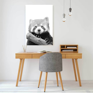 Tableau animaux panda roux  Tableau alu Dibond