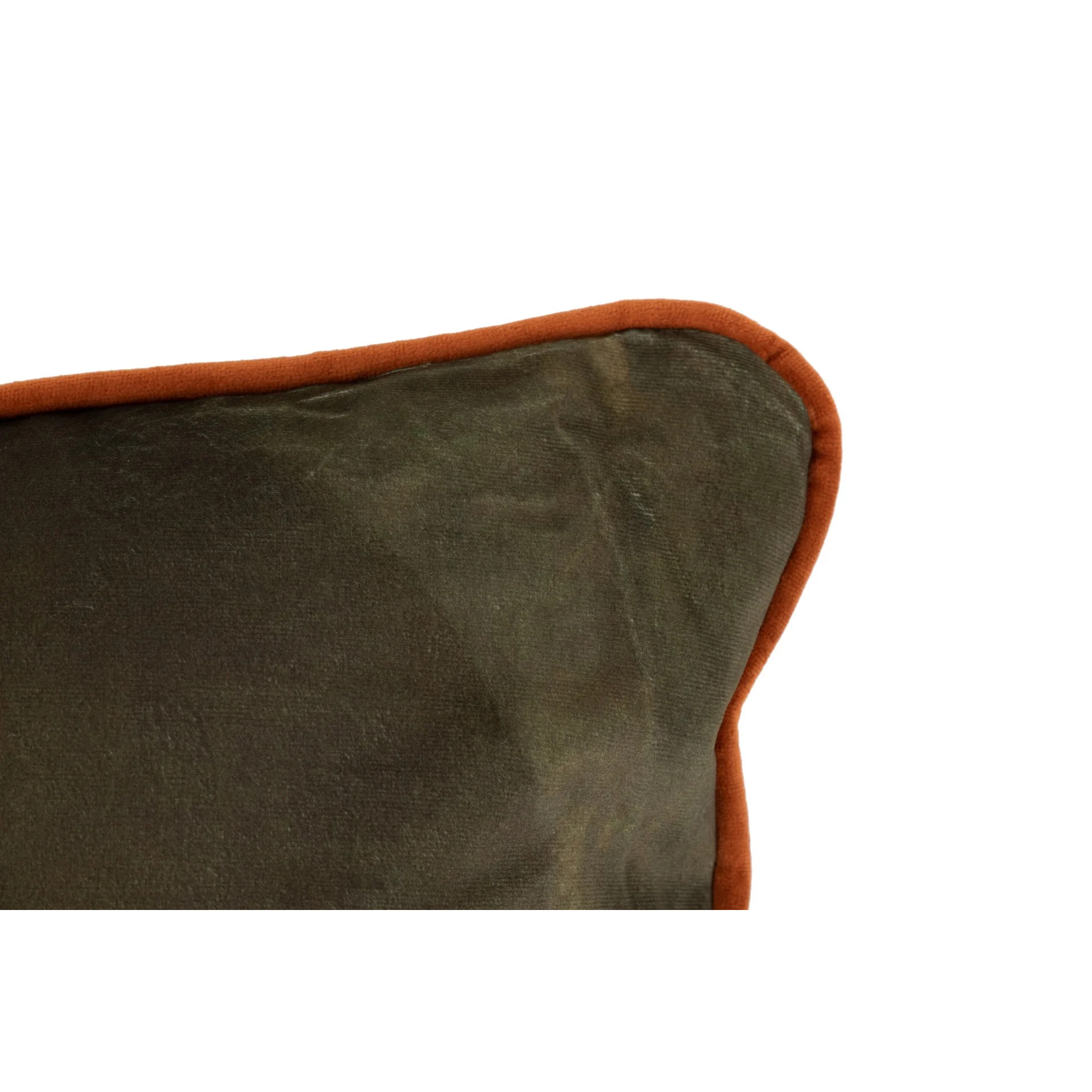 Cojin Golden Velvet 45x13x45 Cm
