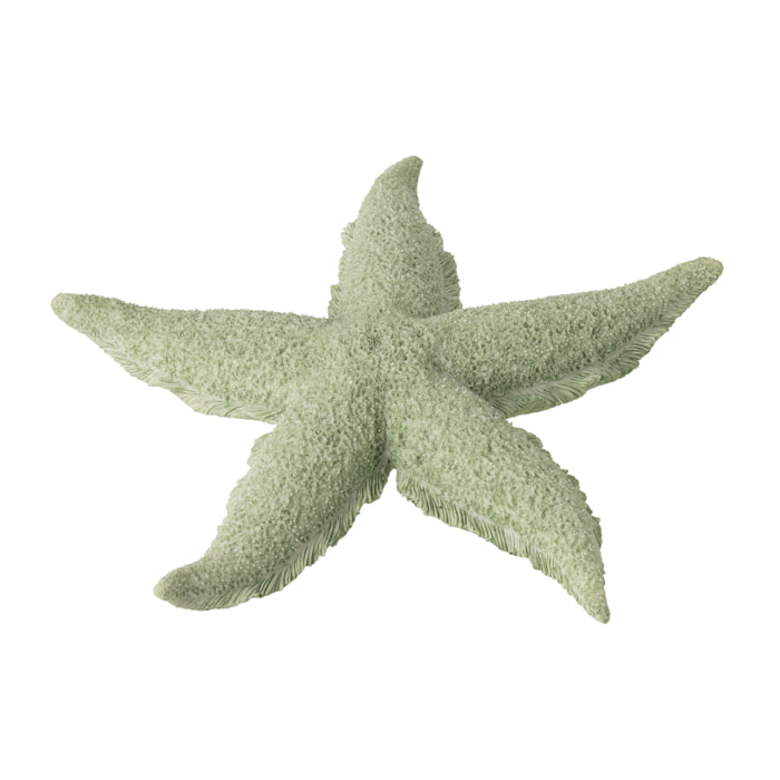 J-Line Étoile de Mer décorative - polyrésine - vert menthe - large