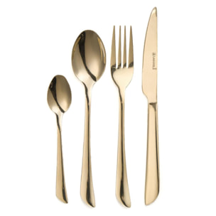 Ménagère 24 pièces - "Théa champagne"