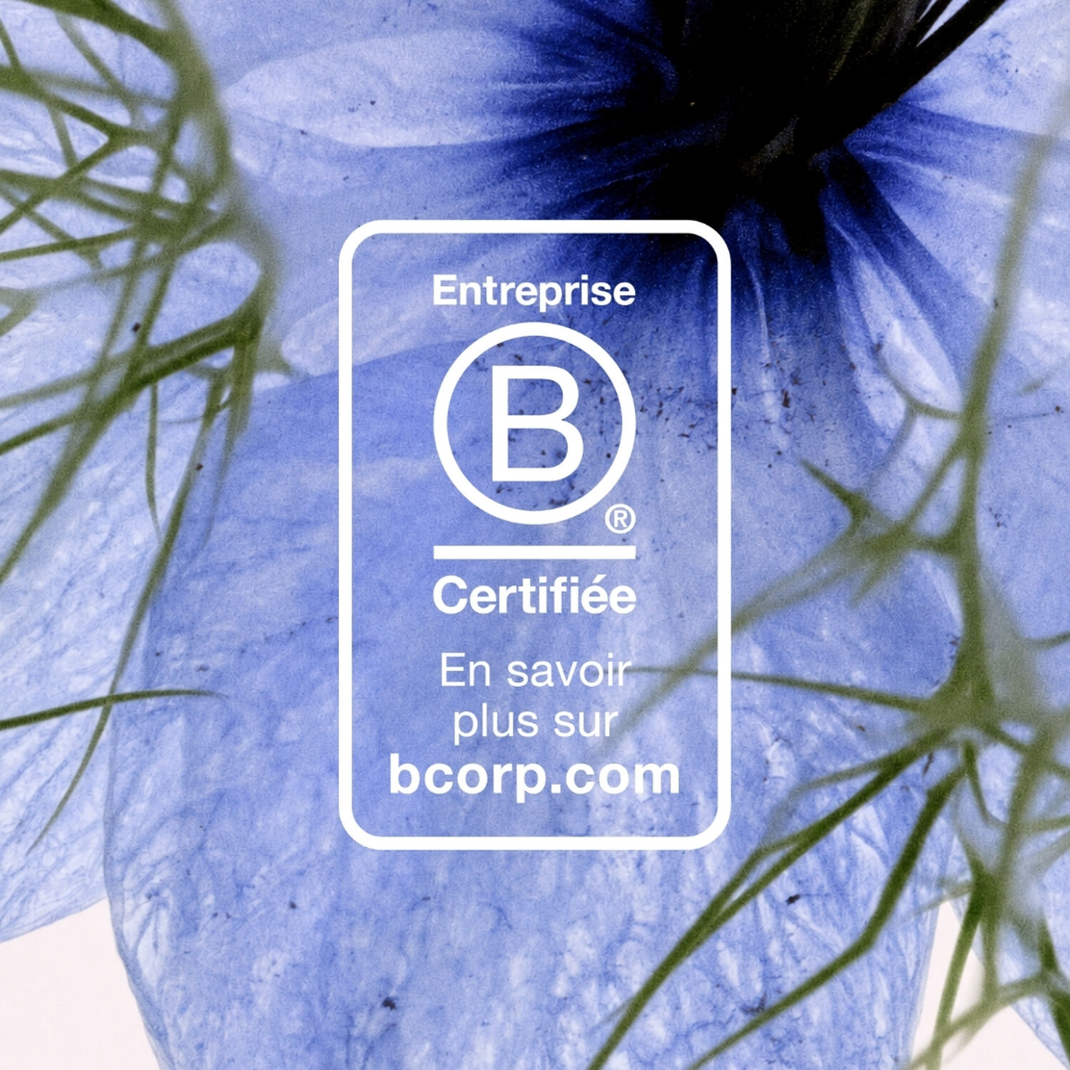 Nectar Sublime - Serum Global Intensif 30 ml