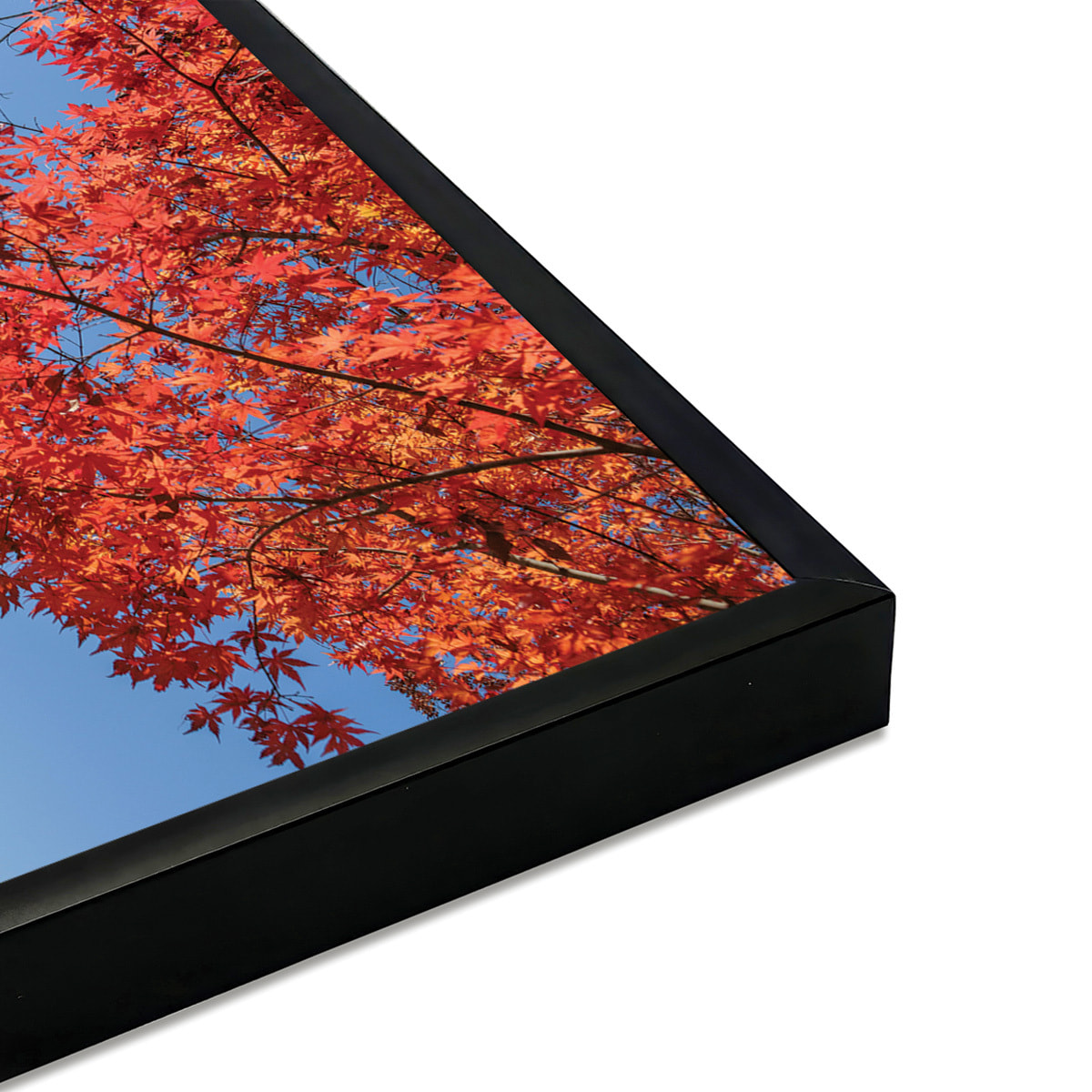 Affiche encadrée mont Fuji automne Japon Affiche + cadre en métal - Noir