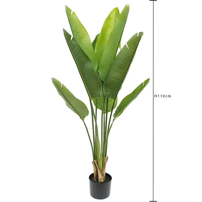 Real touch sterlizia - Pezzi 1 - Colore: Verde - Bianchi Dino