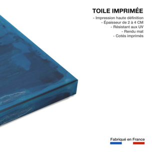 Tableau pantone bleu classique Toile imprimée