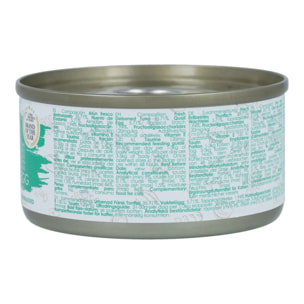 Kit Cat Lata Gravy - Atún & Huevo Codorniz 70 g Comida húmeda para gatos en salsa