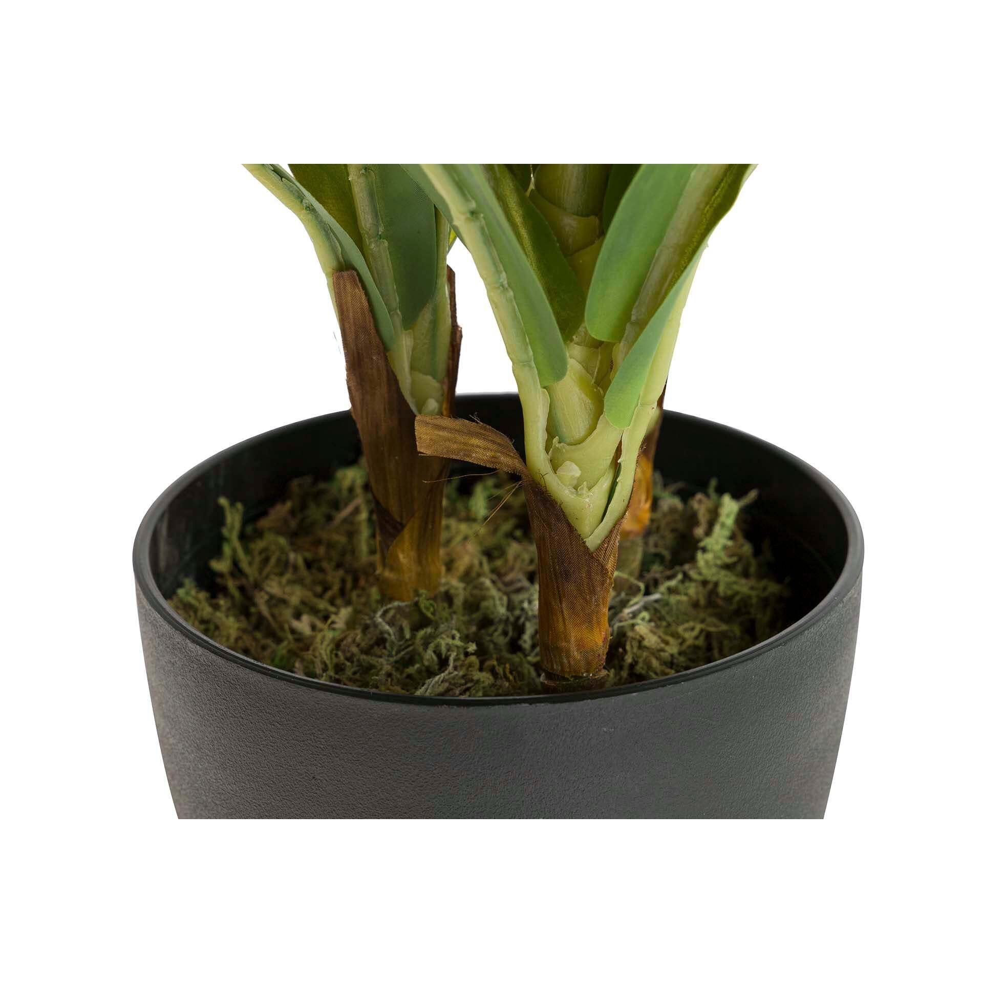 Planta Artificial Dracaena Fragrans Con Maceta 55x55x55 Cm