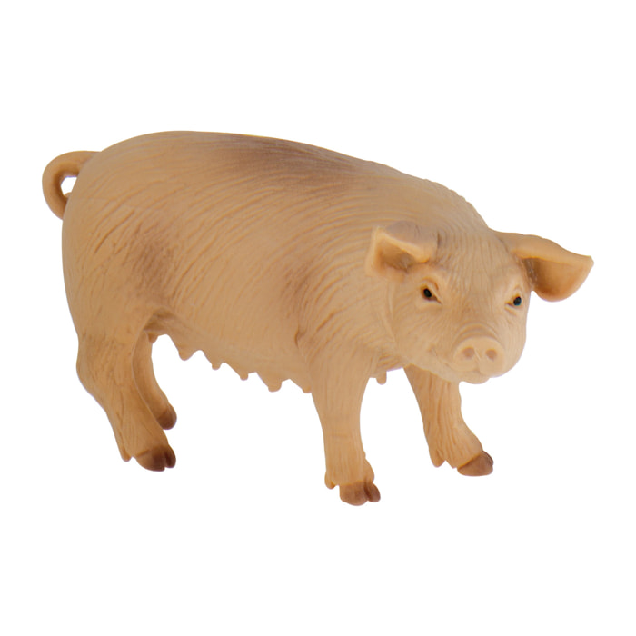 Fattoria/Scrofa