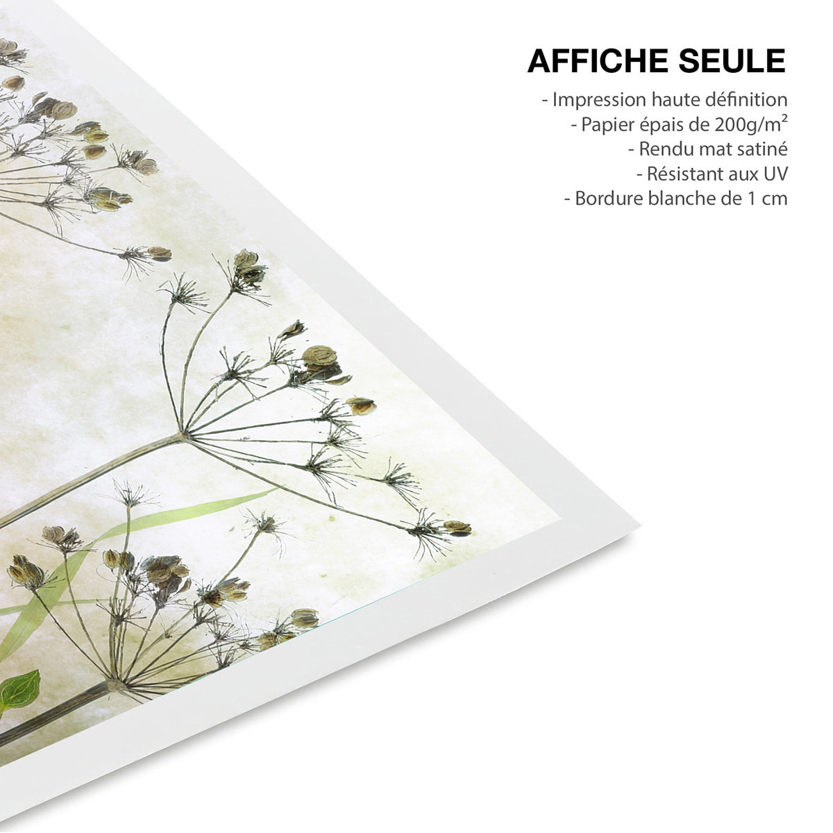 Affiche de fleurs Prairie de coquelicots Affiche seule