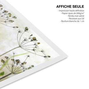 Affiche de fleurs Prairie de coquelicots Affiche seule